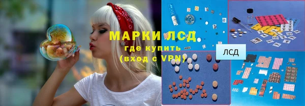 прущие крисы Аркадак