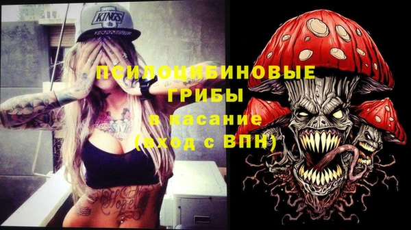 кокс Костерёво